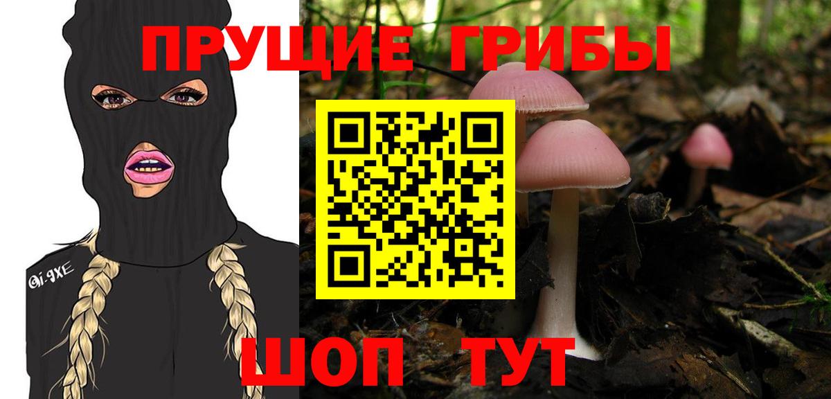 Балаково  Галлюциногенные грибы GOLDEN TEACHER  Вход с VPN  Галлюциногенные грибы ЛСД 